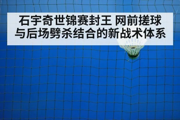 badminton net shot